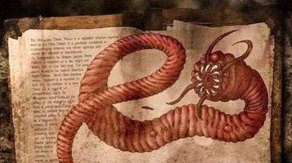 博比特蟲有毒,博比特蟲有毒嗎圖5