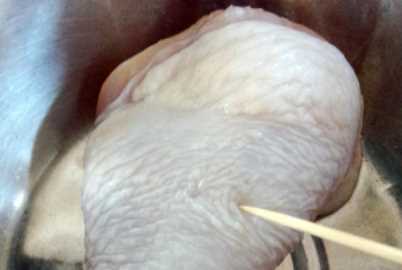 雞肉不焯水怎么去血水,雞肉不焯水怎么去血水和腥味圖6