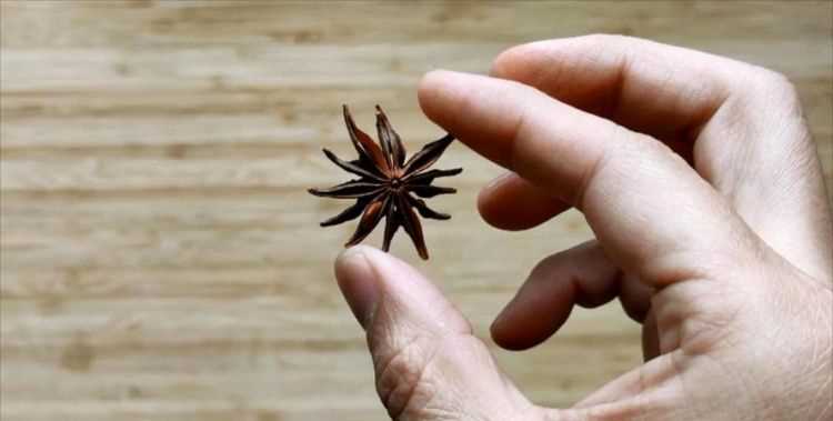 八角怎樣炒才能最香