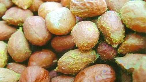 怎樣才能去除黃曲霉素