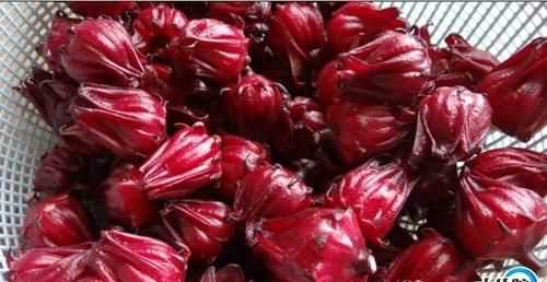 鮮玫瑰茄嗮干前要洗一下嗎