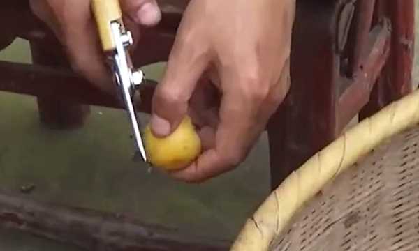 琵琶可以泡酒嘛,野生枇杷泡酒的做法圖1