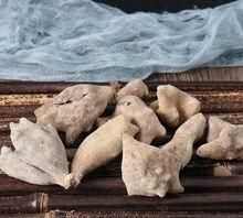 五貝子對人體有哪些壞處