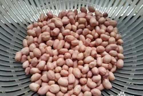 煮花生在冰箱里能保存多長(zhǎng)時(shí)間呢