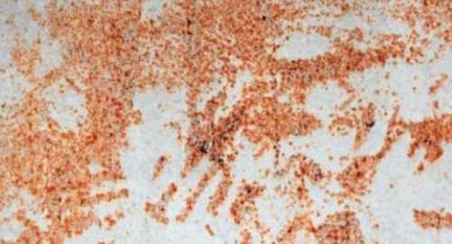 防止鐵釘生銹的方法,防止鐵生銹的方法有哪一些請寫出四種圖3