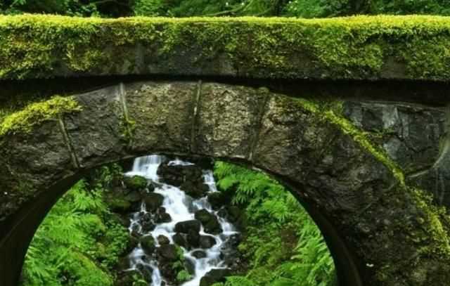 水泥地上的青苔怎么永久清除，水泥地上的青苔怎么消除？圖3