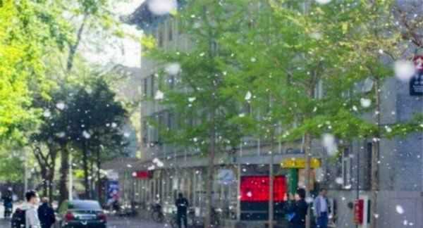 房間柳絮怎么清理,家里到處都是柳絮怎么辦呢圖7