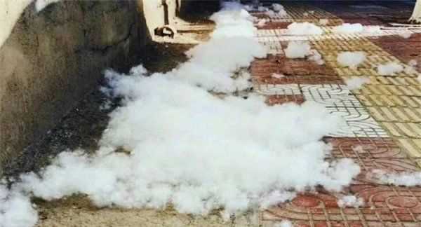 房間柳絮怎么清理,家里到處都是柳絮怎么辦呢圖14