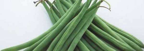 四季豆怎么斜切成絲,四季豆怎么斜切成絲視頻圖1