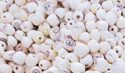 干蓮子煮之前要泡,蓮子需要提前泡嗎圖1