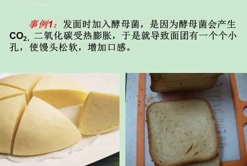 酵母菌只有在無氧環(huán)境下才能發(fā)酵的目的是什