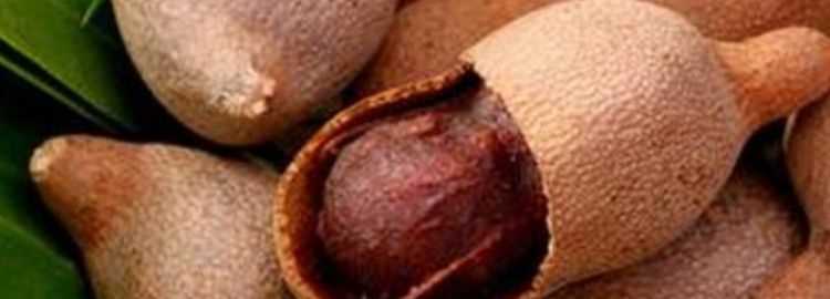 酸角真的好酸有什么辦法讓它吃起來好吃點(diǎn)呢