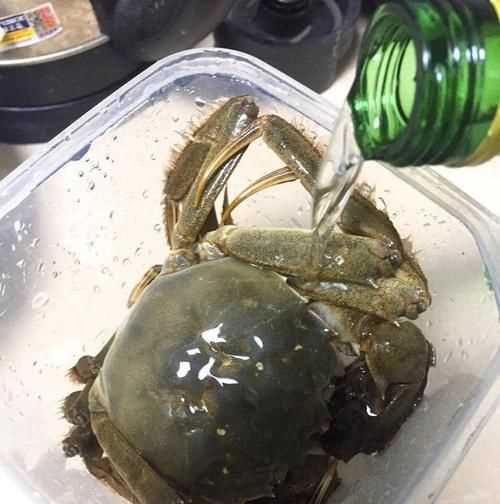 活螃蟹怎么保存過夜放水還是不放水