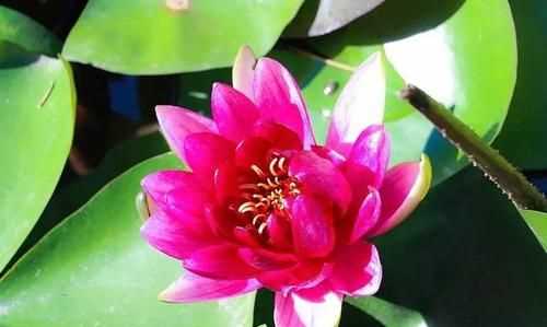 夏末和初秋的網(wǎng)名意思