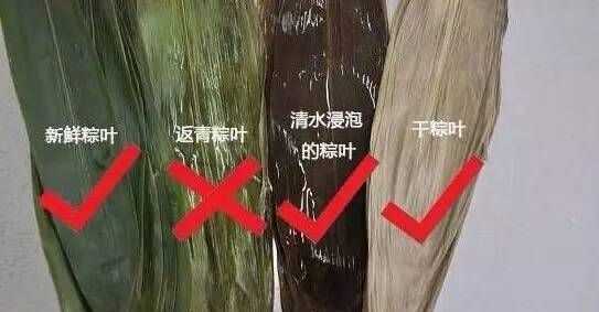 煮粽葉是放鹽還是放堿