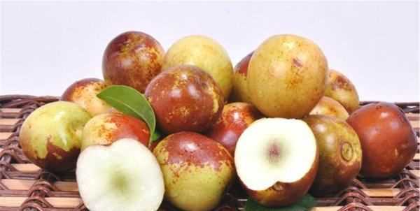 冬棗的功效與作用,冬棗的營(yíng)養(yǎng)功效與作用圖1