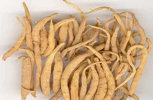 青桑葚子的功效與作用及禁忌