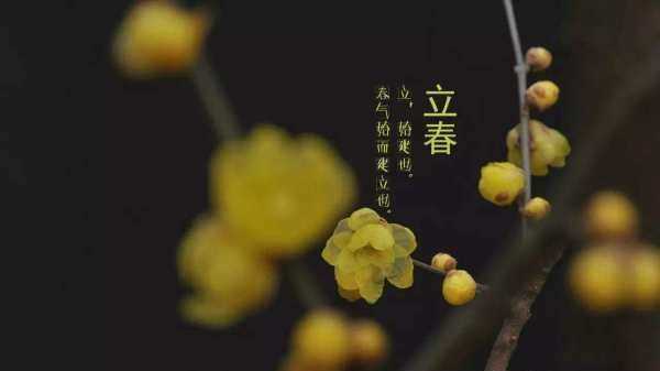 清明前面是什么節(jié)氣,清明節(jié)的前一個節(jié)日是什么節(jié)日圖3