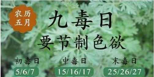 毒五月是哪幾天2022