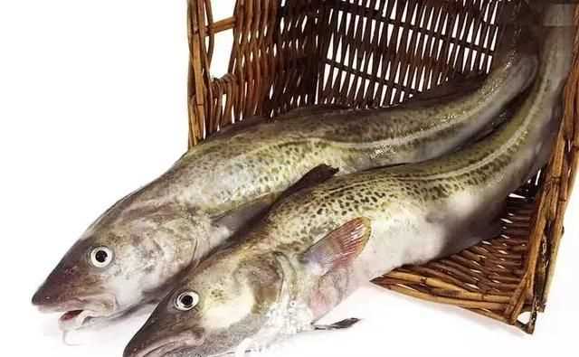 明太魚有什么營養(yǎng)價(jià)值，明太魚為什么沒有頭？圖1