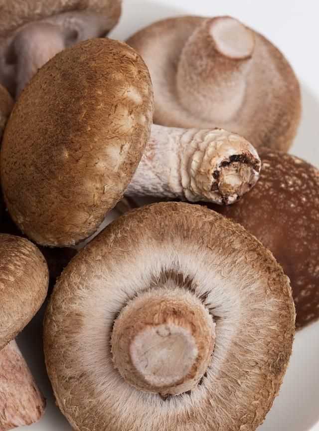包餃子香菇餡是用什么香菇