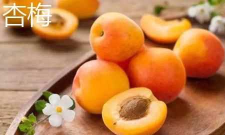 什么杏的內核可以砸開吃