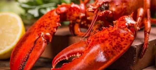 龍蝦的嘌呤高嗎尿酸高能吃嗎?