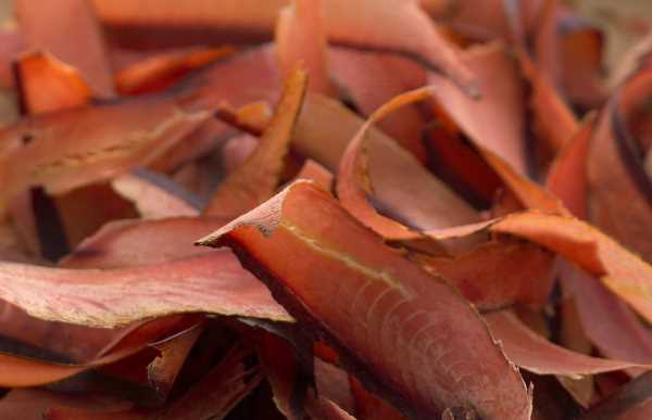 柴魚怎么做好吃家常做法,柴魚怎么做好吃圖2