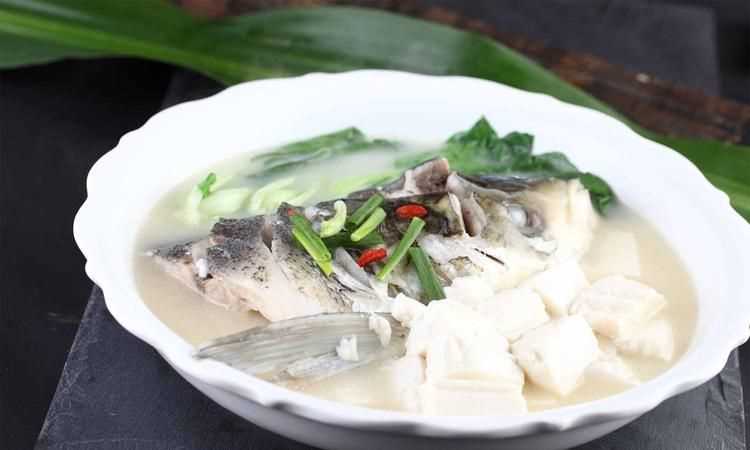 做魚(yú)頭豆腐湯用什么樣的豆腐好一點(diǎn)