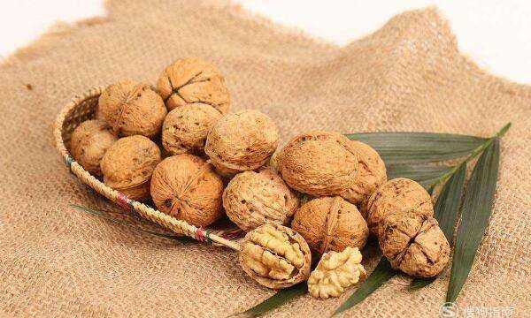 鮮核桃和干核桃區(qū)別,新鮮核桃和干核桃哪個(gè)更有營(yíng)養(yǎng)圖6