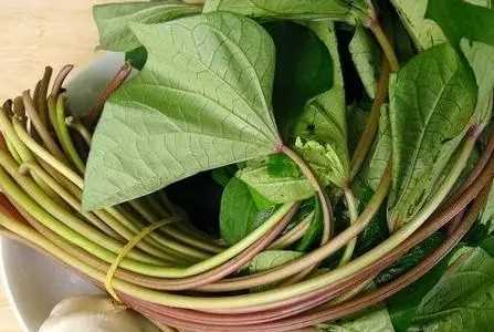 吃紅薯葉有什么好處,吃紅薯葉有什么好處有什么壞處圖1