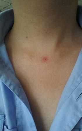 蜘蛛拉的網(wǎng)破后，還把網(wǎng)吃掉嗎