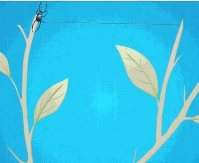 蜘蛛織的網(wǎng)會(huì)網(wǎng)住蜘蛛嗎，蜘蛛拉的網(wǎng)破后，還把網(wǎng)吃掉嗎？圖6