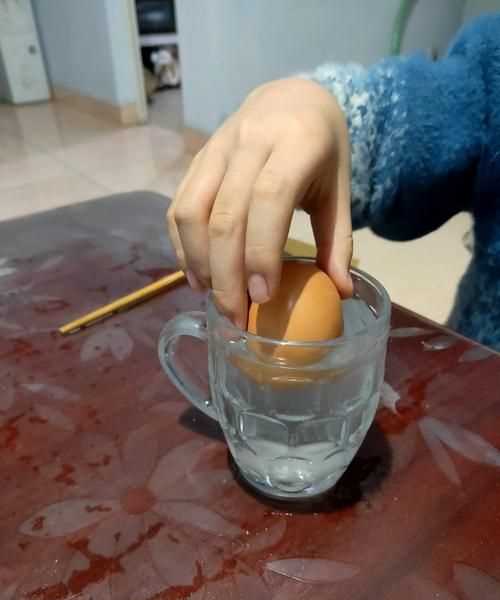 雞蛋放進(jìn)鹽水里浮起來的原理是什么