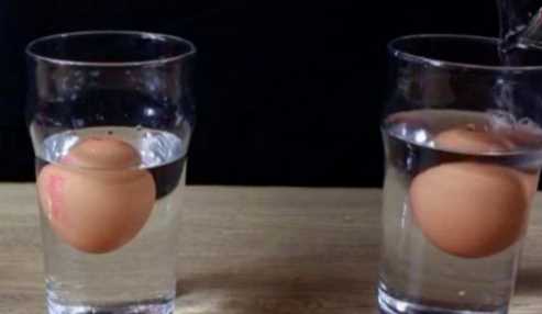 鹽水為什么讓雞蛋浮出水面,雞蛋加鹽浮起來的原理是什么圖3