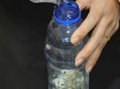 蒜頭發(fā)芽了還能吃嗎，蒜米生芽了還能吃嗎？圖2