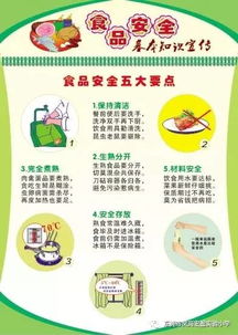 小學食品安全知識百度