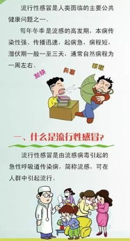 安全知識預(yù)防流感