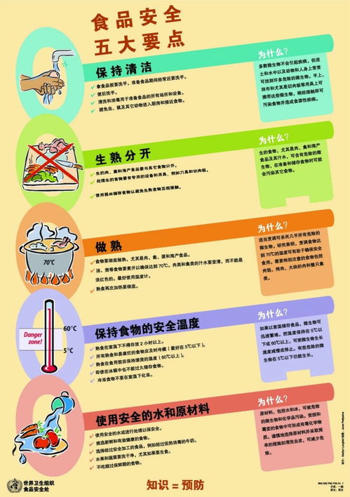 食品安全重點(diǎn)知識(shí)