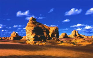 沙漠旅游的安全知識