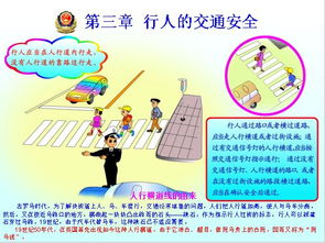 安全知識記心中演講小學(xué)生