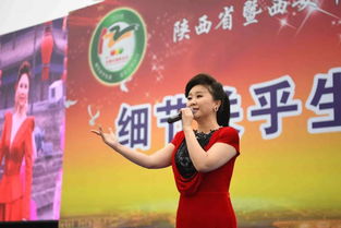 認(rèn)知盲區(qū)交通安全知識(shí)大教育