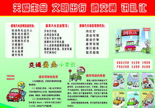 駕校教練員安全知識試卷