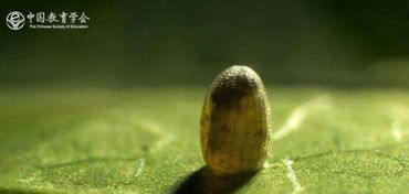 食品安全和國門安全教育知識測試題