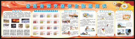 預防自然災害安全知識資料