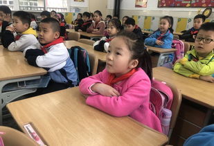 一級小學生校園安全知識問答