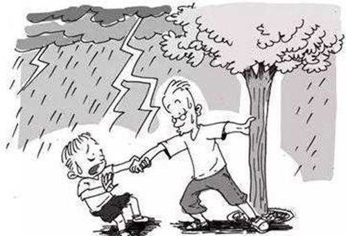 關于安全知識觸電方面