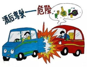開車安全教育知識