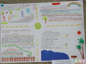 學(xué)安全知識為生命護航的手抄報