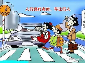 關(guān)于汽車交通安全的知識大全